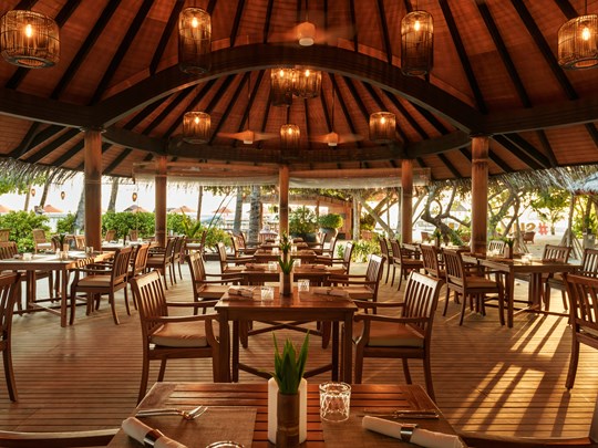 Saveurs thaïes et vietnamiennes au restaurant Bamboo
