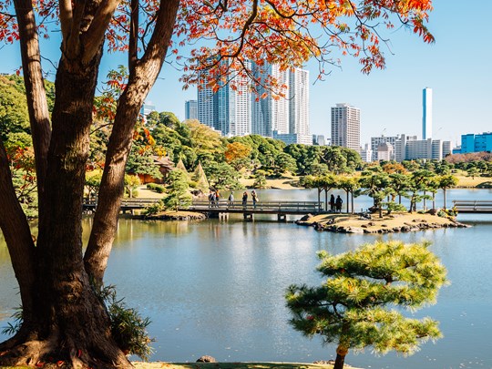 Les jardins Hamarikyu aux couleurs de l’automne