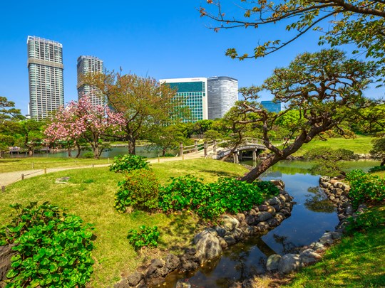 Les jardins Hamarikyu face aux gratte-ciel de Tokyo