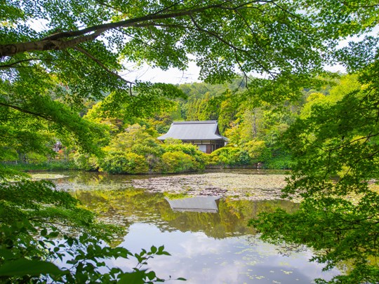 L’étang Kyoyochi au temple Ryōan-ji