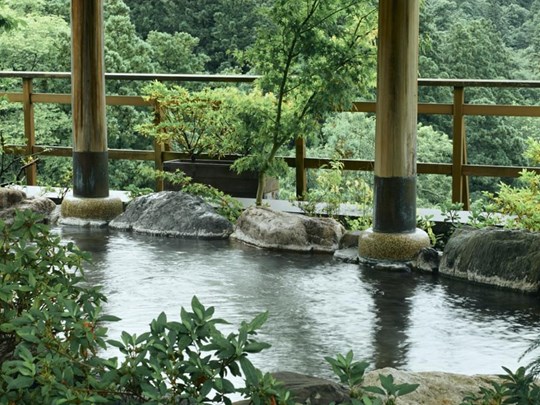 Hanamurasaki à Yamanaka Onsen