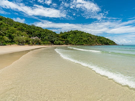 Eaux translucides et végétation luxuriante