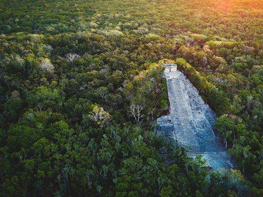 Les paysages mayas au coeur des forêts