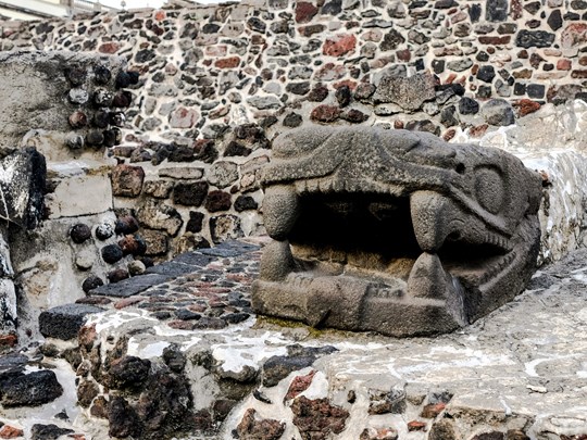 Immortalisez des pieds vieilles de plusieurs siècles
