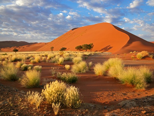 Namib, le plus ancien désert du monde