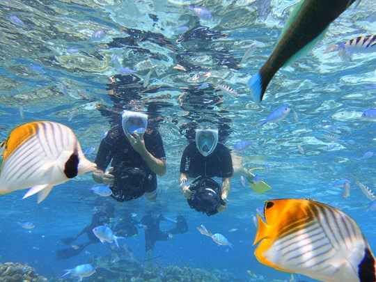 Session snorkeling dans le lagon 