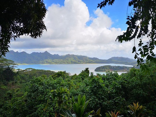 Découvrez les paysages sauvages d'Huahine