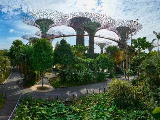 Les joyaux architecturaux et futuristes de Singapour tels que le Supertree Grove