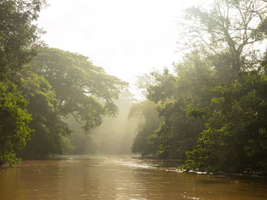 Aube paisible sur la réserve de Caño Negro