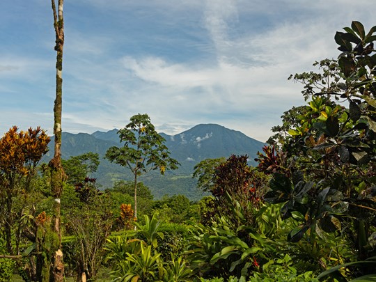 Panorama tropical sur les hauteurs de Tenorio