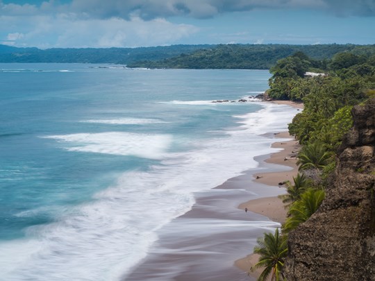 Cocotiers et calme sur la baie de Tambor