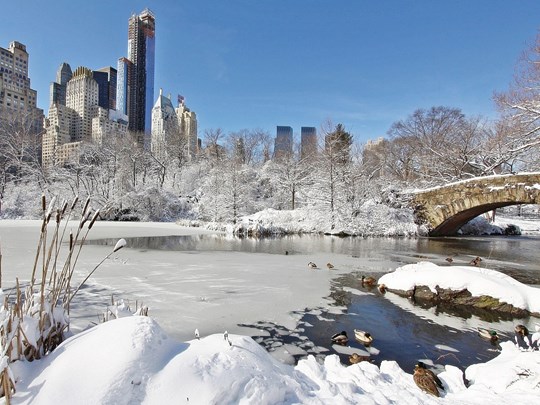 Un hiver à New York