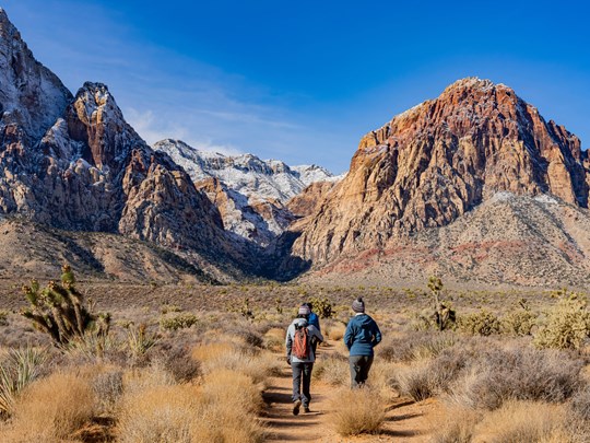 Paysage enneigé hivernal du célèbre Red Rock Canyon