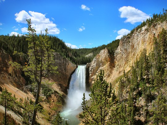 La cascade de Lower Falls