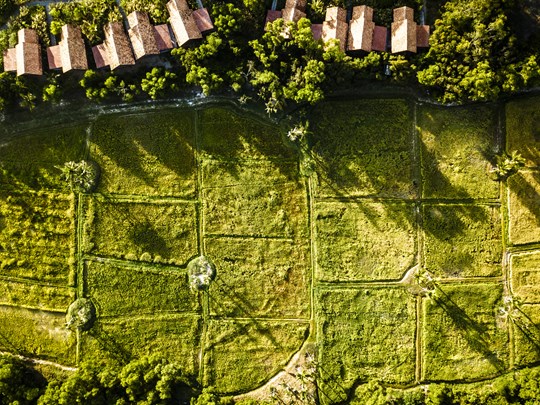 Parcourez les rizières 