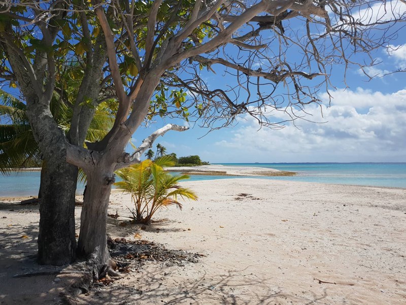 Découvrez l'atoll de Kauehi 