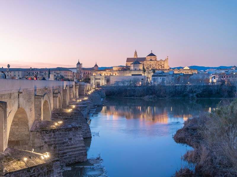 La vue sur la ville de Cordoue et son pont romain
