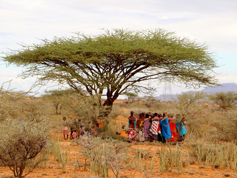 Les Samburu vivent dans les régions arides du nord kényan