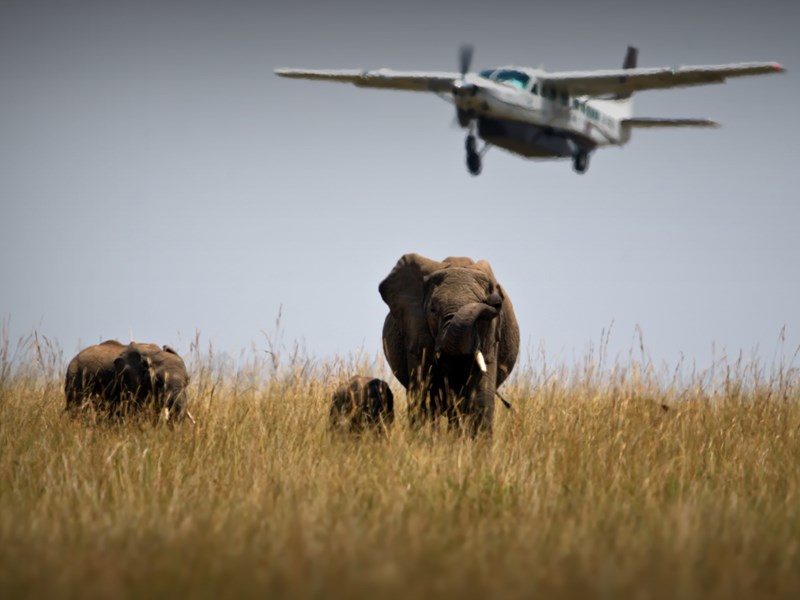 Des circuits pensés entre Masai Mara et expériences exclusives