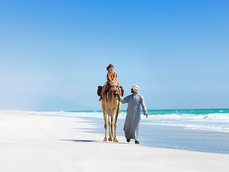 Balade à dos de chameau sur la magnifique plage