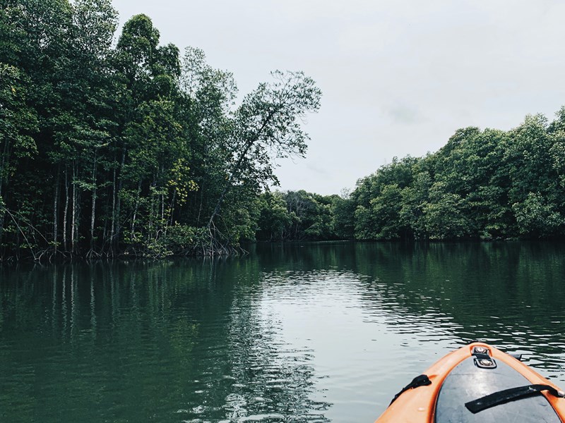 La réserve naturelle de Ao Thane Lane en kayak