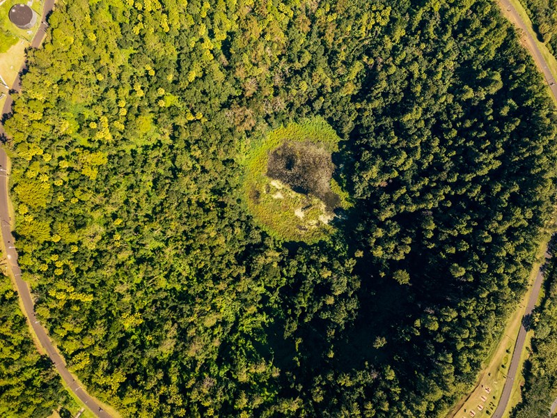 La majesté du Trou aux Cerfs