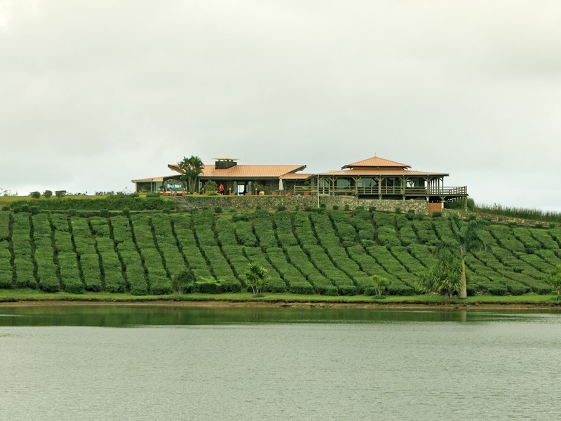 Domaine du Bois Chéri et ses vues splendides sur les plantations