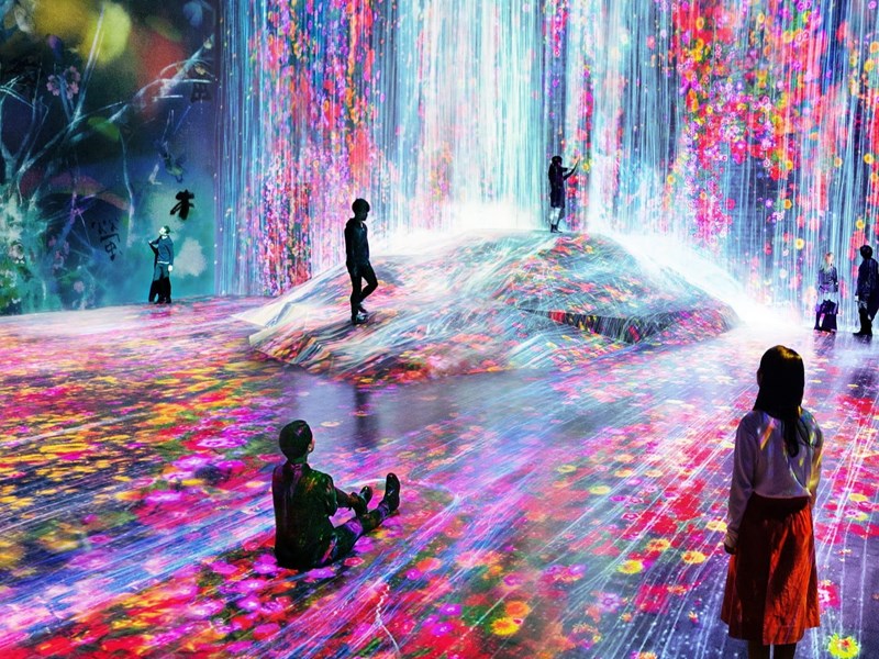 Team Labs Borderless