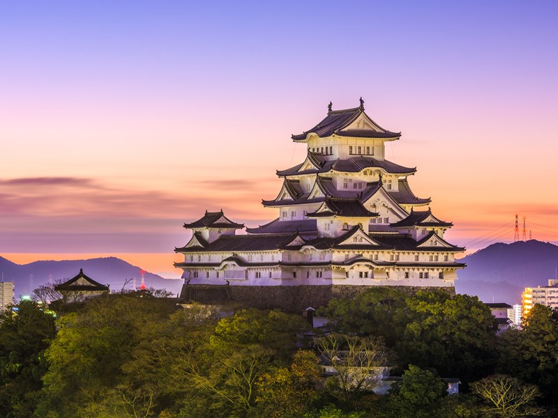 Château d'himeji de nuit