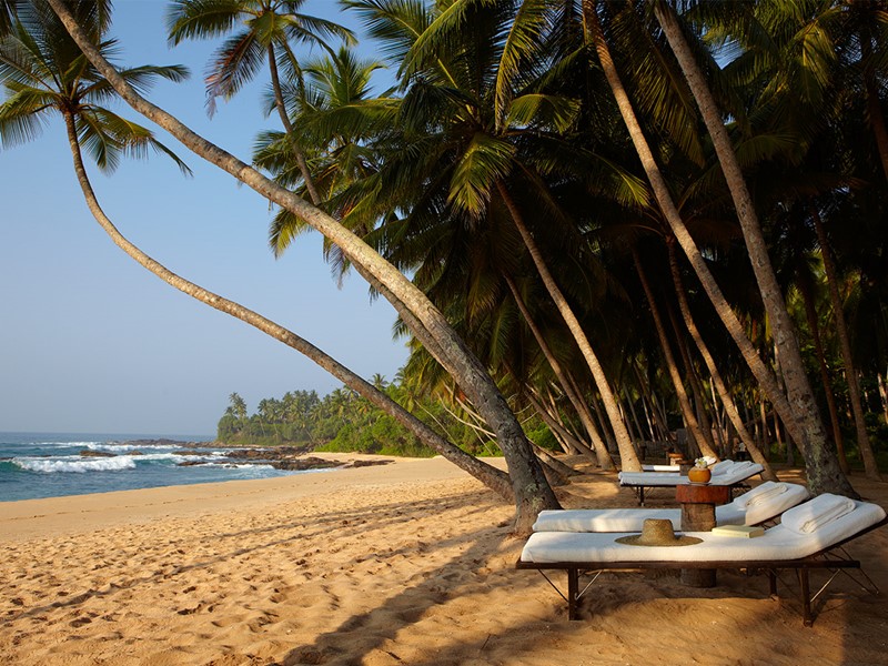 Détendez vous à l'ombre des palmiers de l'Amanwella au Sri Lanka