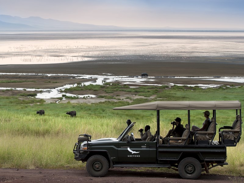 Safari dans le parc national