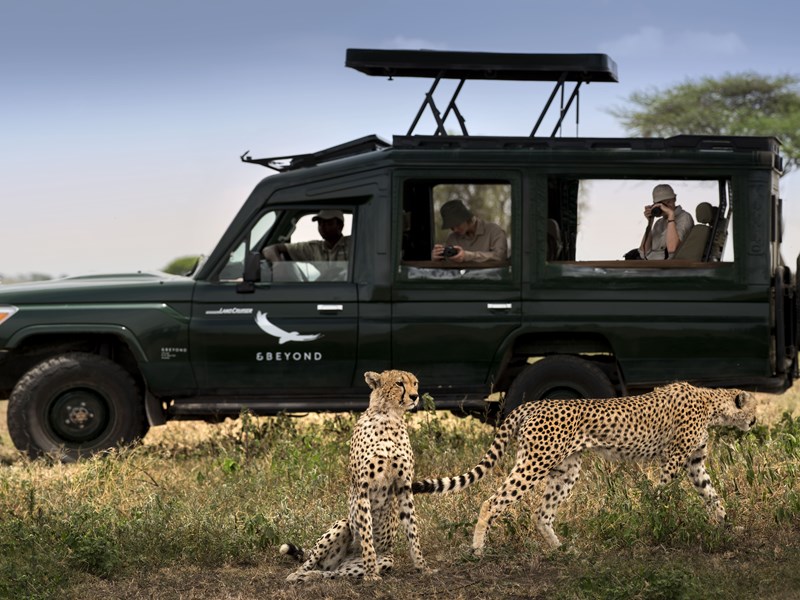 Les safaris sont riches et intenses