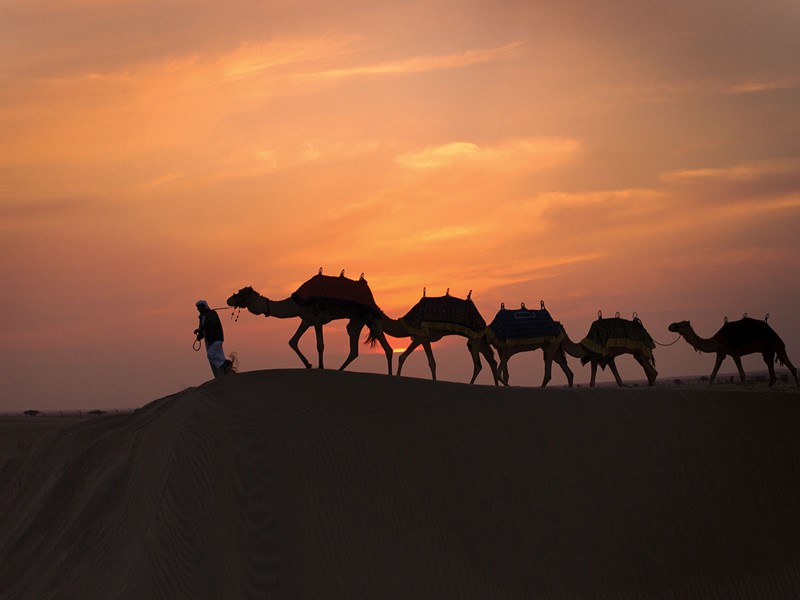 Balade à dos de chameau au Babs Al Shams Resort & Spa situé au milieu du désert de Dubaï