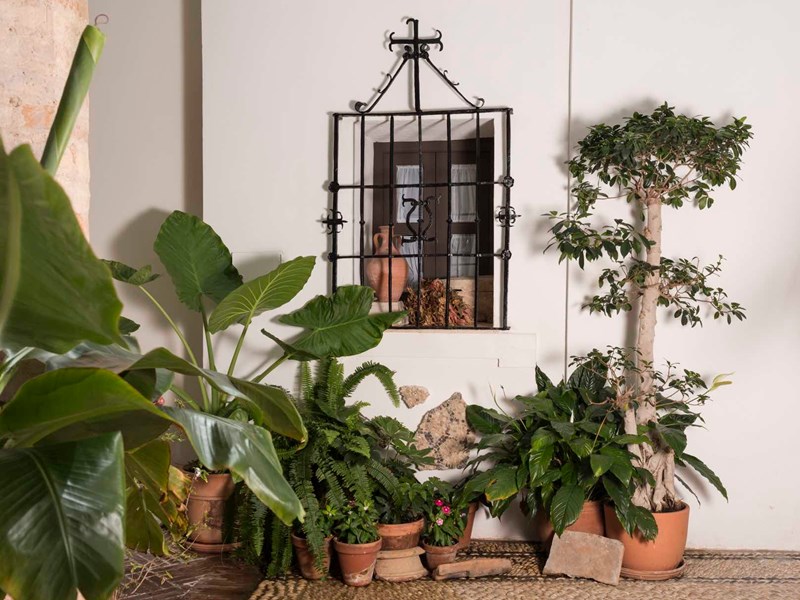 Maison andalouse transformée en boutique-hôtel raffiné