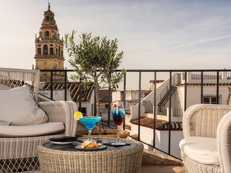 Vue spectaculaire depuis la terrasse