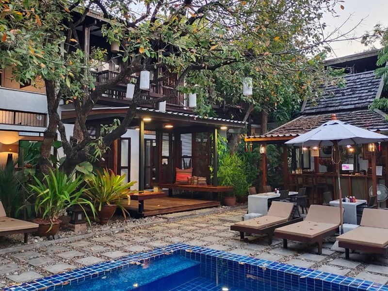 La piscine et le jardin