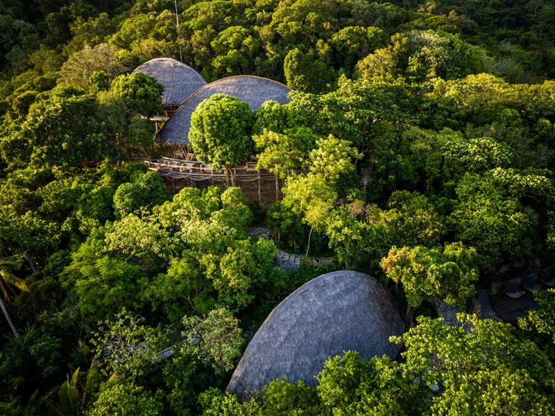 Profitez d'un repas perché dans les arbres au restaurant Tree Top