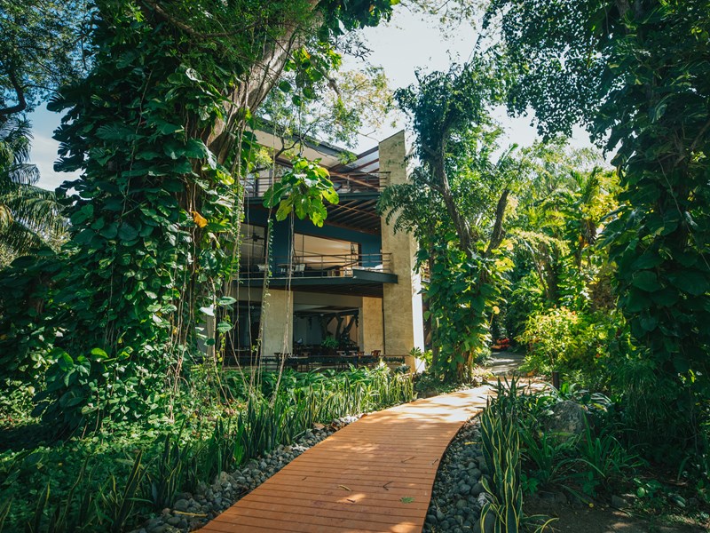 Au coeur d'une nature tropicale et préservée