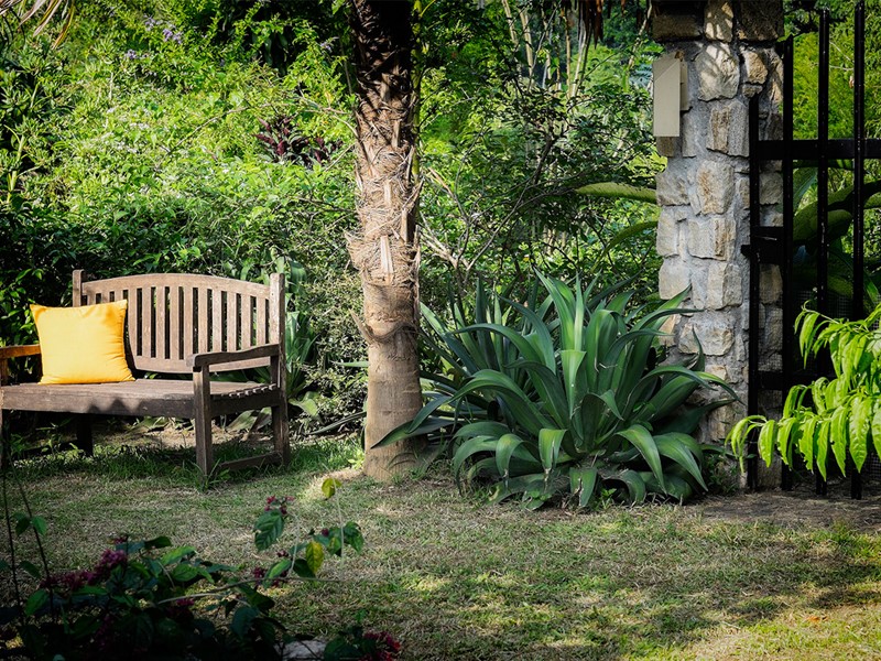 Jardin de l'hôtel Bougainvillea Retreat au Sri Lanka