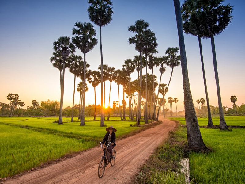 Le Cambodge et ses campagnes paisibles