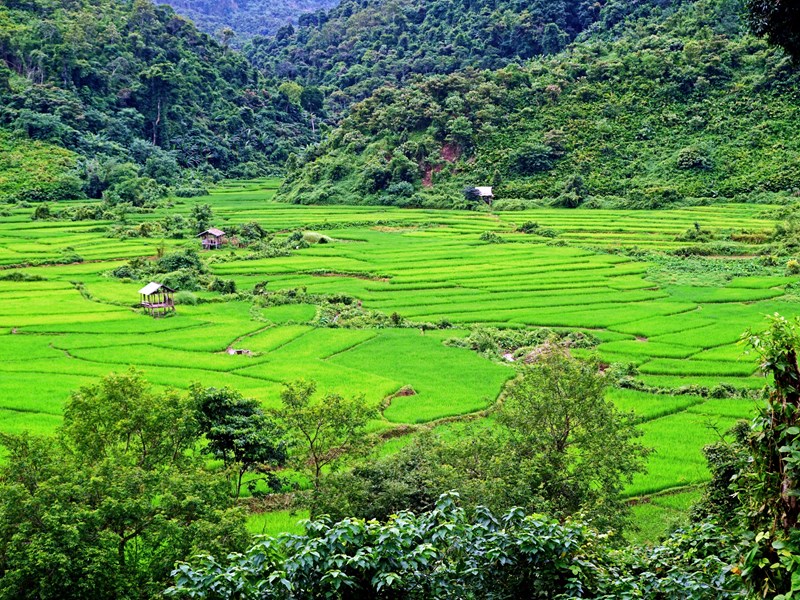Rizières, forêts et villages : le Laos côté nature