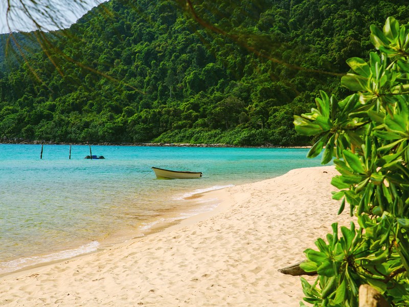Koh Rong, des plages bordées de forêt tropicale