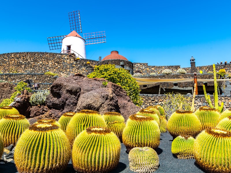 Jardin de Cactus dans le village de Guatiza, Lanzarote