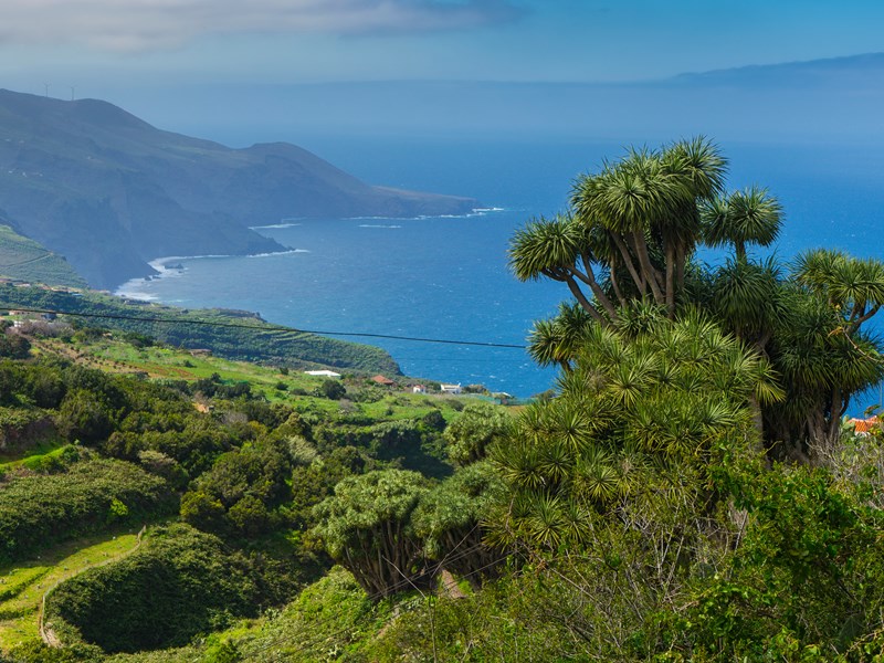 Les paysages verts de La Palma