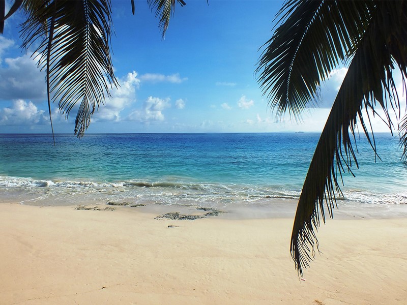 Le Carana Beach vous charmera par ses eaux turquoise