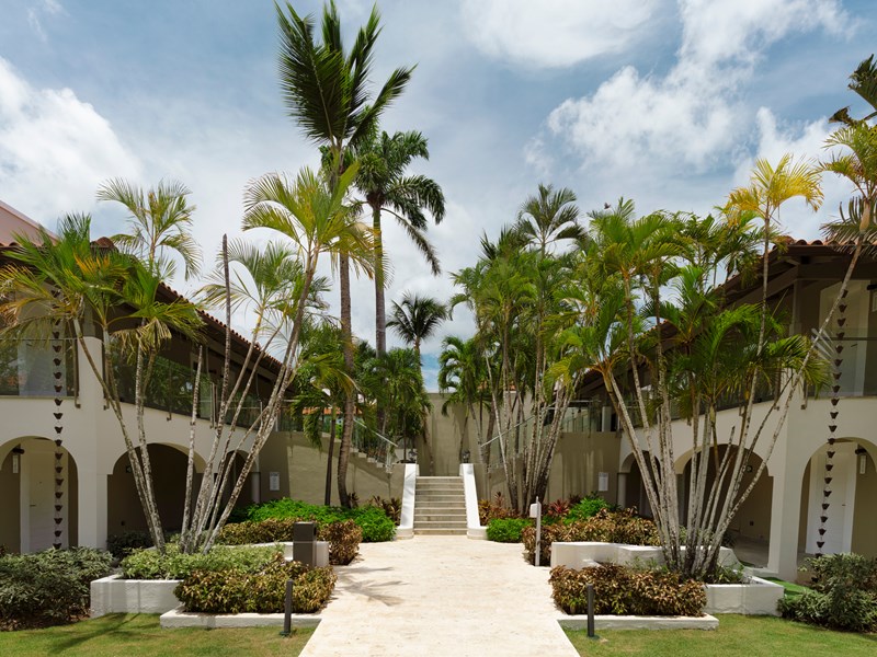 Une élégance tropicale