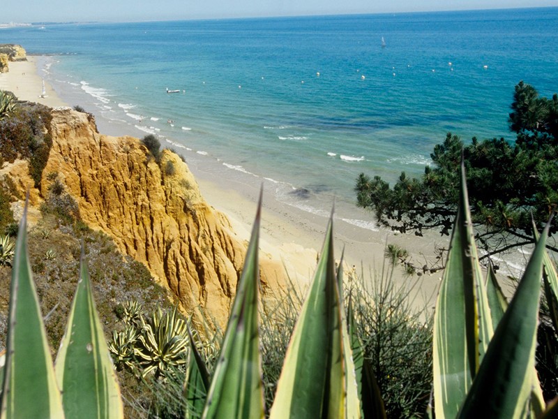 La magnifique plage de sable blond du Club Med Da Balaia