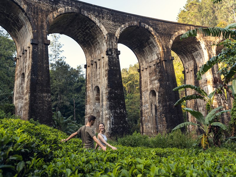 Le Pont aux Neuf Arches d’Ella