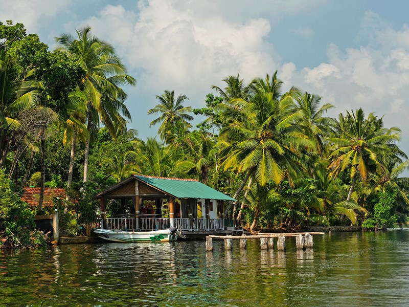 Les rives tropicales de Koggala