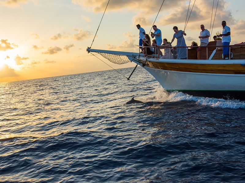Croisière au coucher du soleil